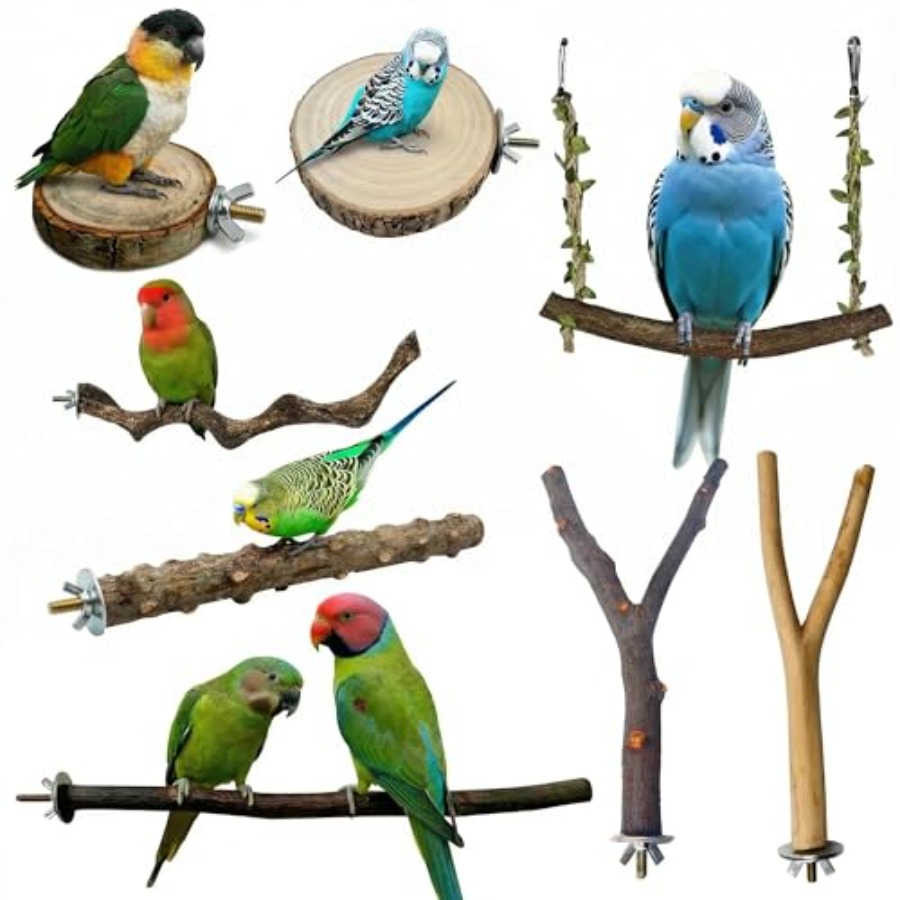 8PCS tempat bertengger burung  - Health & Wellness Services At Western University Photos ulasan dan harga